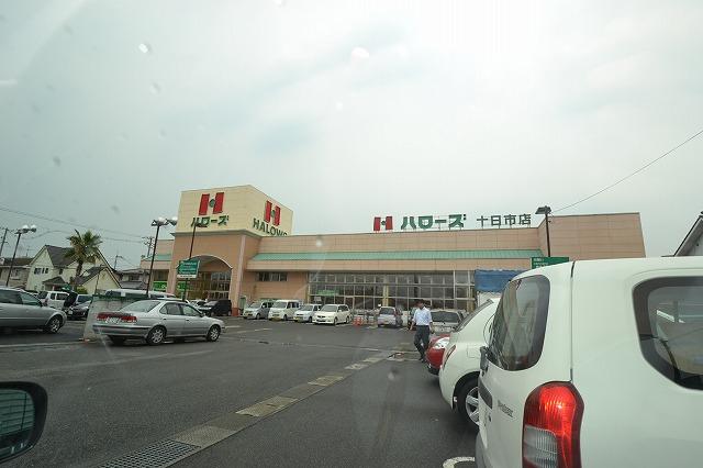 Supermarket. Hellos to Tokashi shop 594m
