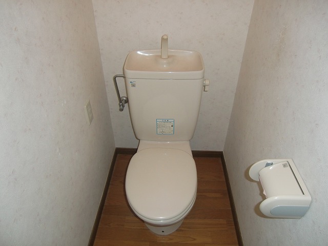 Toilet. Toilet