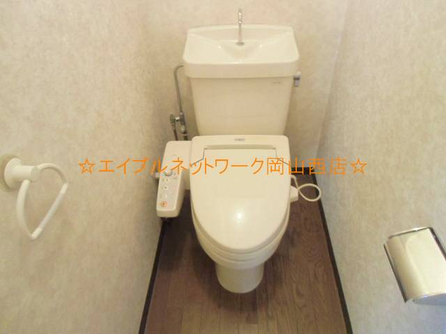 Toilet. Bidet with toilet