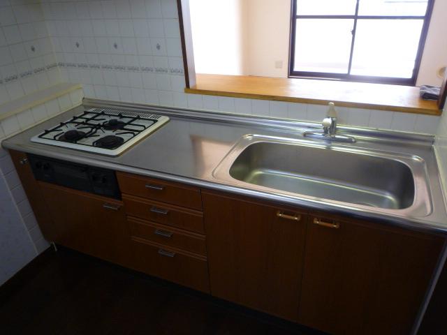 Kitchen. Indoor (March 2013) Shooting