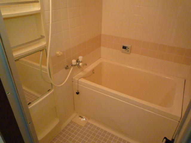 Bathroom. Indoor (March 2013) Shooting