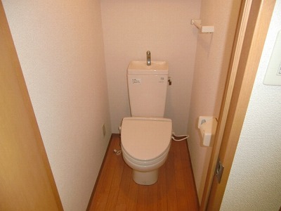 Toilet. Toilet with cleanliness! !