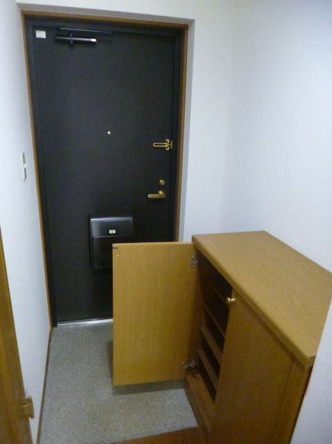 Entrance. It is with cupboard.