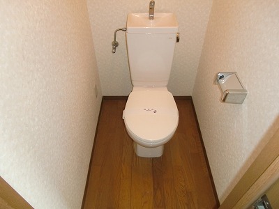 Toilet. The image is an inverted type