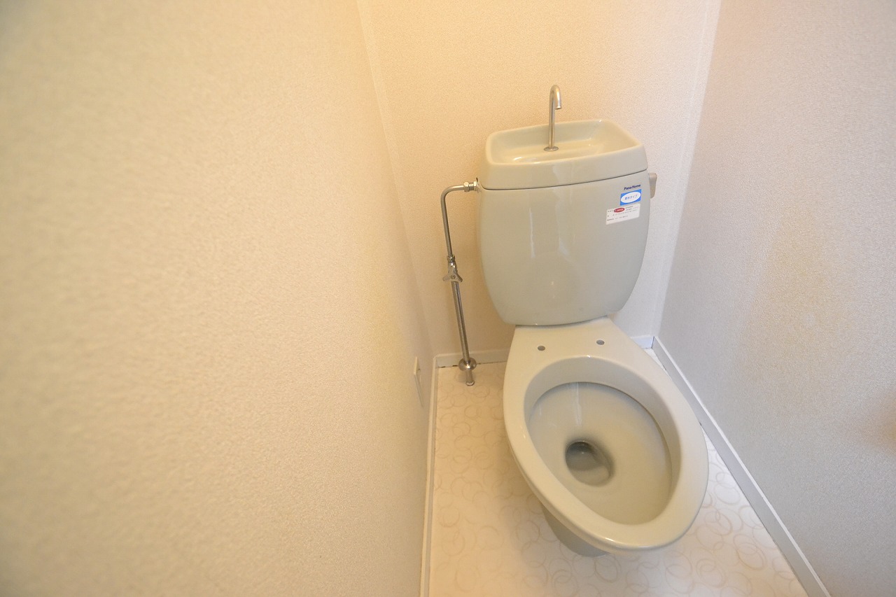 Toilet. So if you live you put the lid.