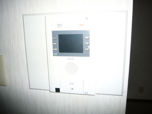 Security. Monitor with intercom