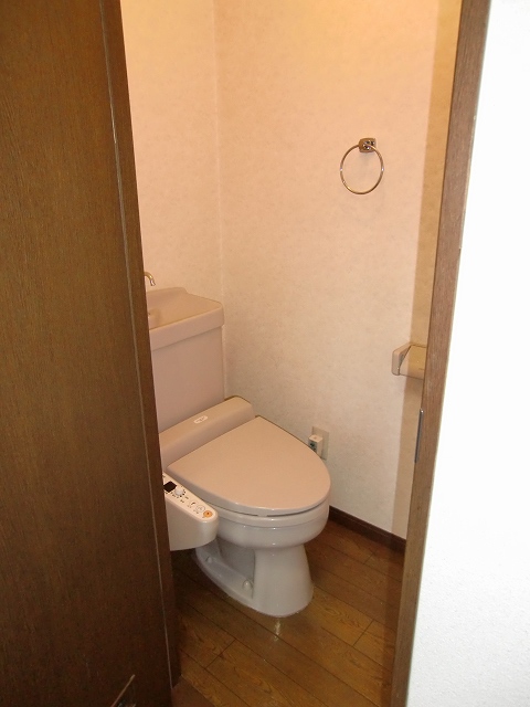 Toilet. Washlet comes with course! 