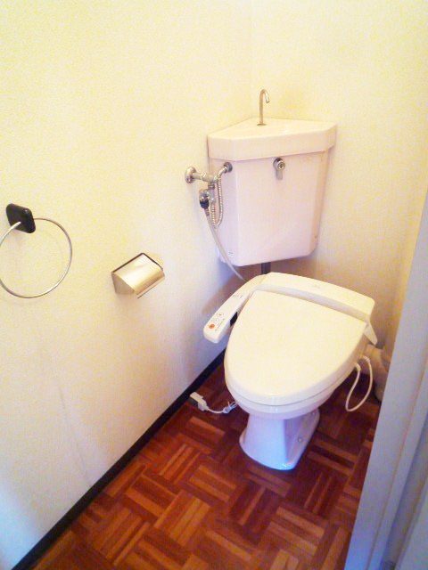 Toilet. Toilet is settled likely of warm colors ☆