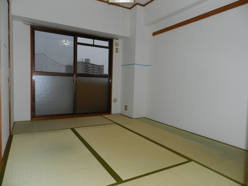 Other room space. Japanese style room