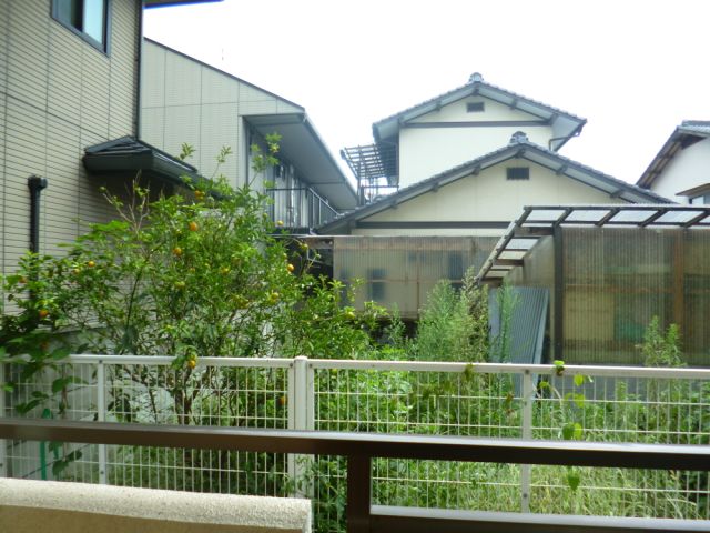 Balcony. Also firmly Jose laundry.