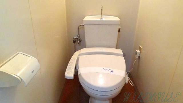 Toilet. Bidet