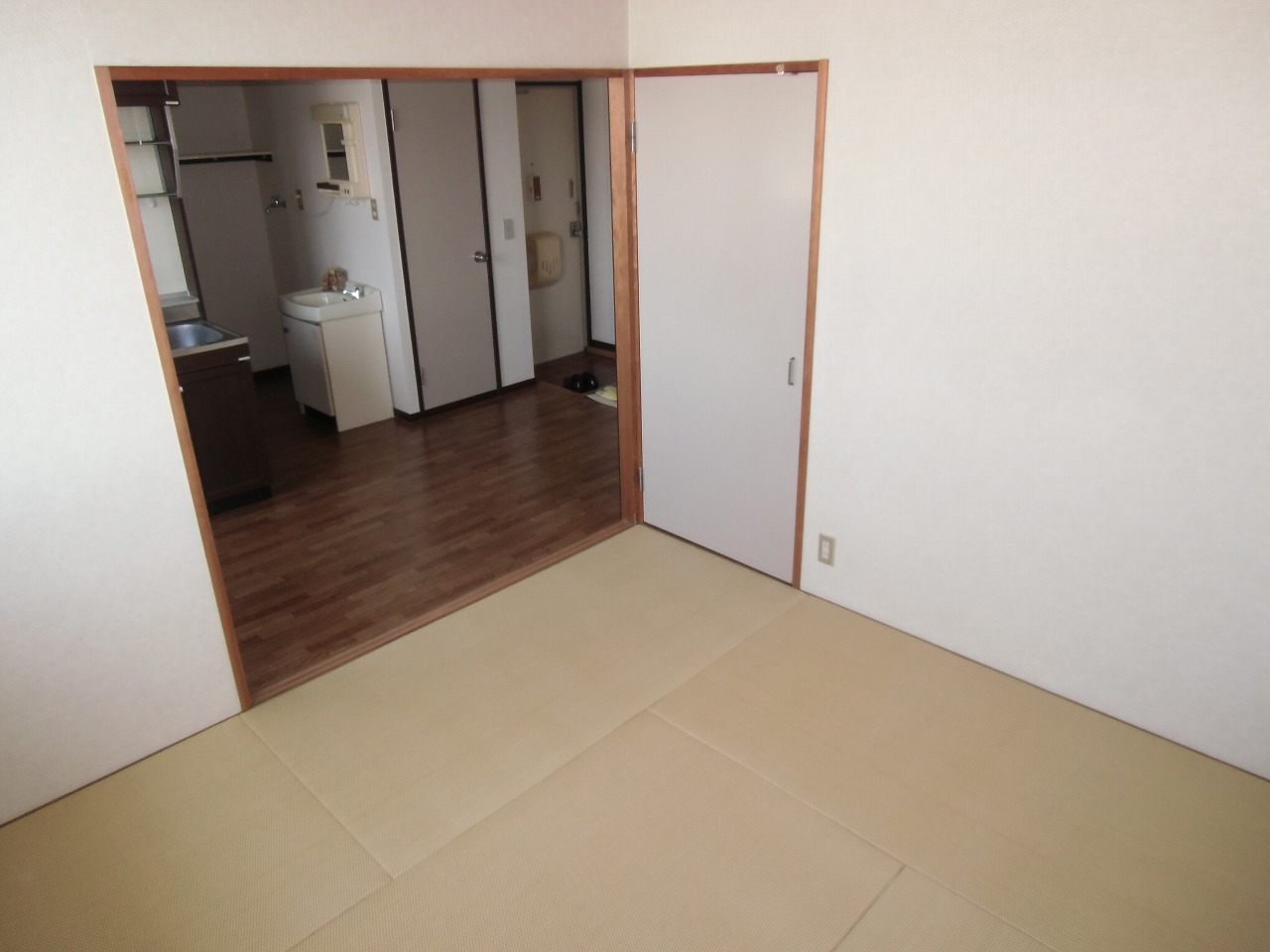 Living and room. Beautiful tatami ^^