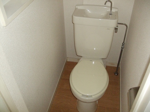 Toilet. It is Western-style flush toilet.