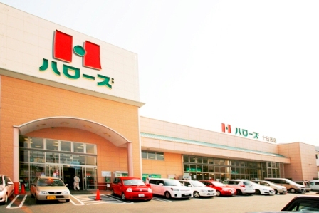 Supermarket. Hellos Tokashi store up to (super) 774m