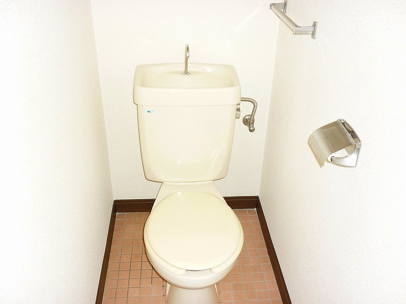 Toilet. Western-style toilet