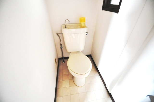 Toilet. It's softening cozy I toilet ~ Strange!