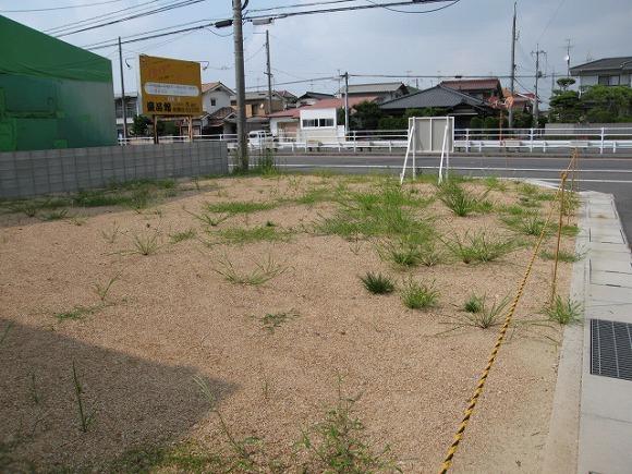 Local land photo