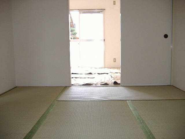 Other room space. Japanese style room