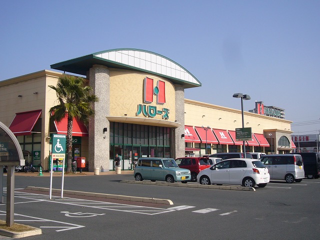 Supermarket. Hellos Toshinden store up to (super) 291m