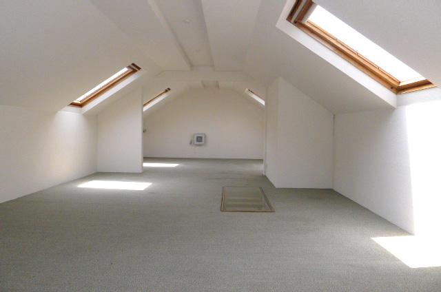 Receipt. Attic space with a skylight