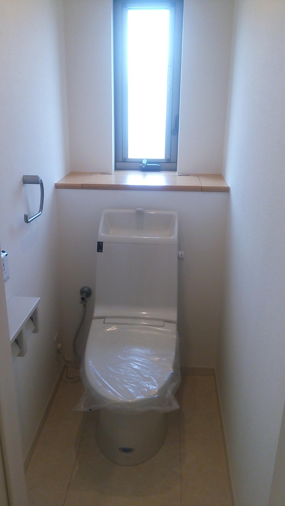 Toilet. Counter with storage of toilet