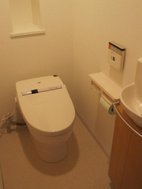 Toilet. Space secured by tankless toilet.