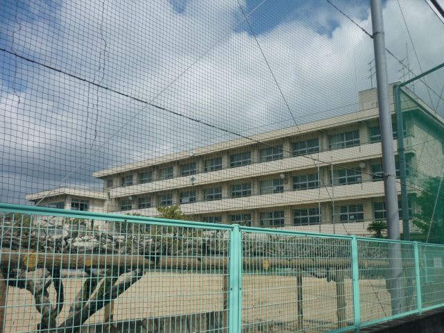 Primary school. Municipal Seno to elementary school (elementary school) 1600m