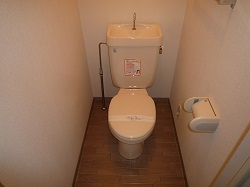 Toilet. It is scheduled replacement to cleaning heating with toilet seat