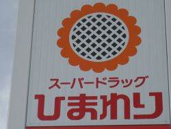 Dorakkusutoa. Super drag sunflower Izumida shop 250m until (drugstore)