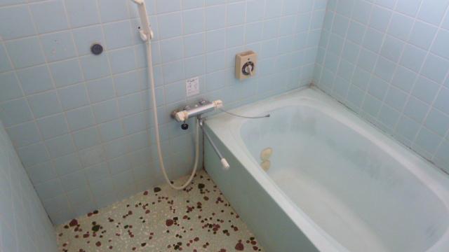Bathroom. Local (September 2013) Shooting