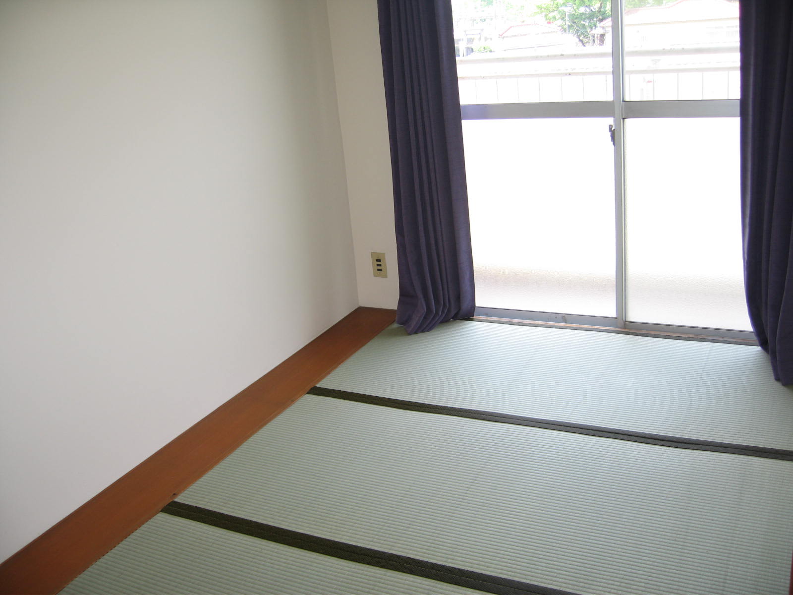 Living and room. South Japanese-style tatami 4