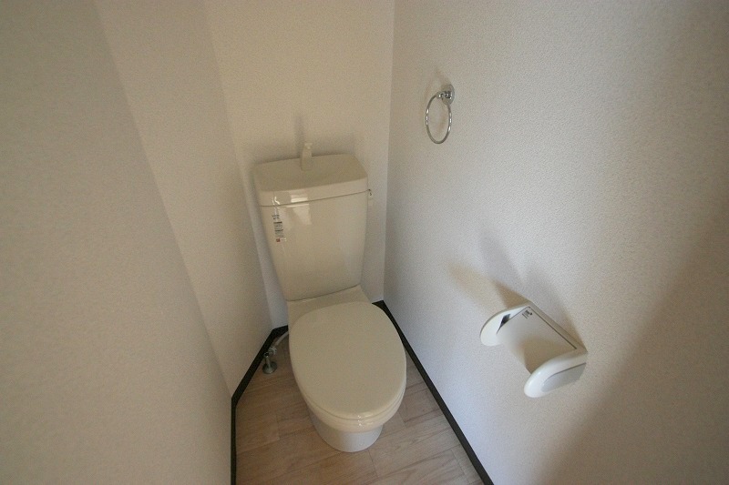 Toilet. New toilet ☆