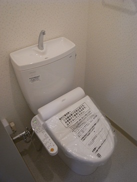 Toilet. Bidet