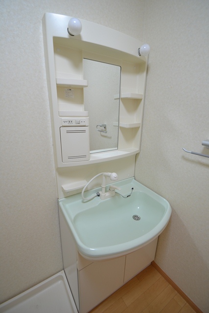 Washroom. Washbasin with shower! When a busy morning! It will rely on