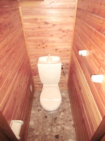 Toilet. Slowly please ^^ in the toilet of woodgrain