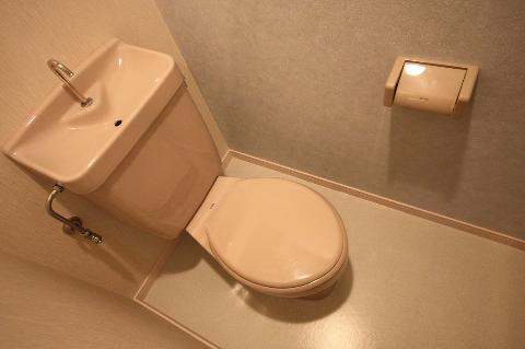 Toilet. WC