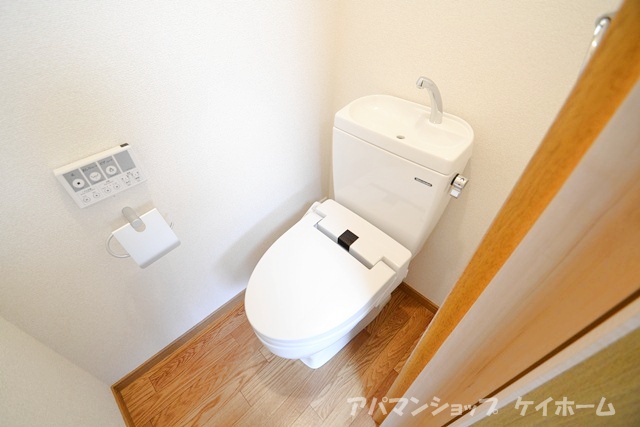 Toilet. It protects firmly a nice ass Washlet!