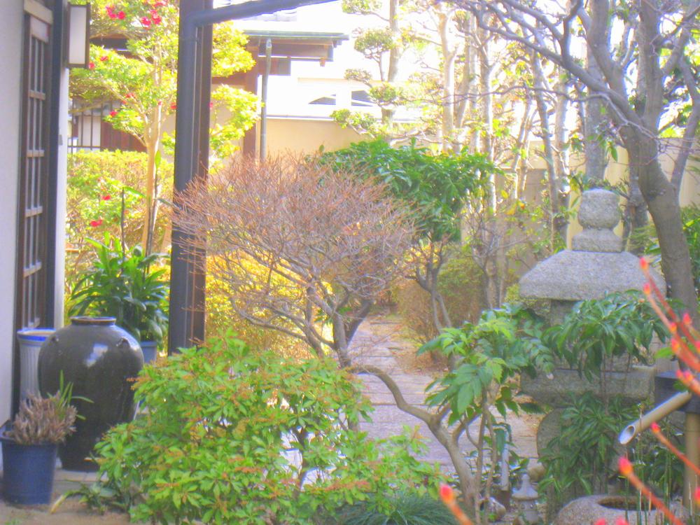 Garden. Authentic Japanese garden
