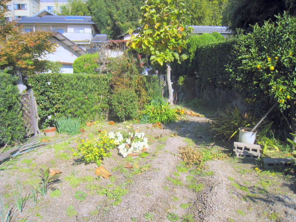 Other. field Vegetable garden space