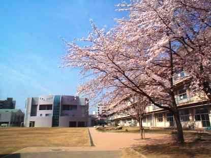 Primary school. Takashima 803m up to elementary school (elementary school)