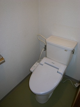 Toilet. Bidet