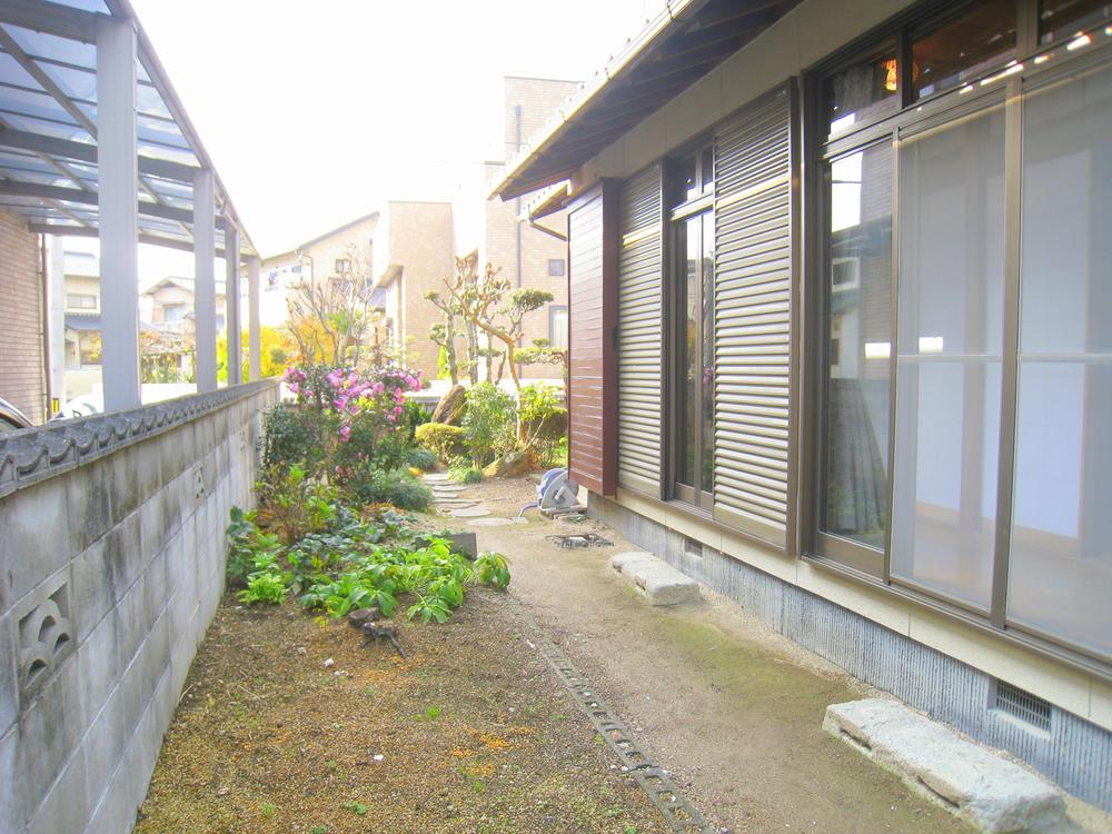 Garden. Field space