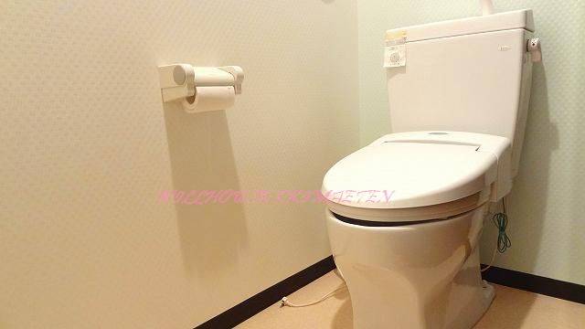Toilet. Weblog ~ I