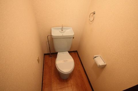 Toilet. WC