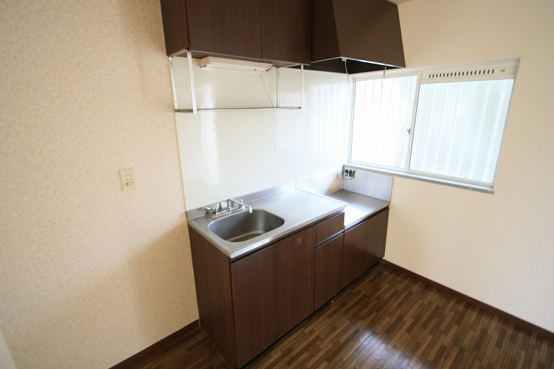 Kitchen. Modern kitchen, which was based on brown