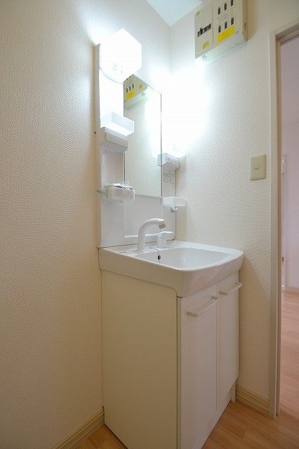 Washroom. Washbasin with shower! Convenience is over morning!