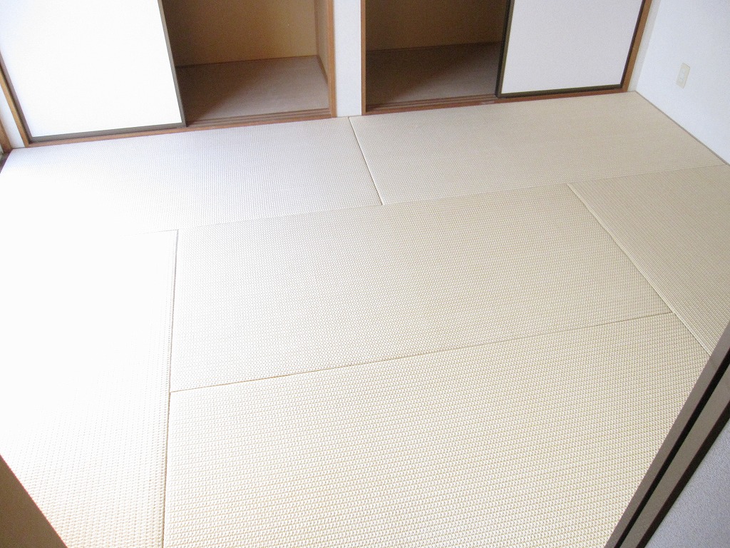 Other room space. Stylish pulp tatami