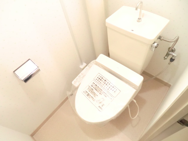 Toilet. With washlet