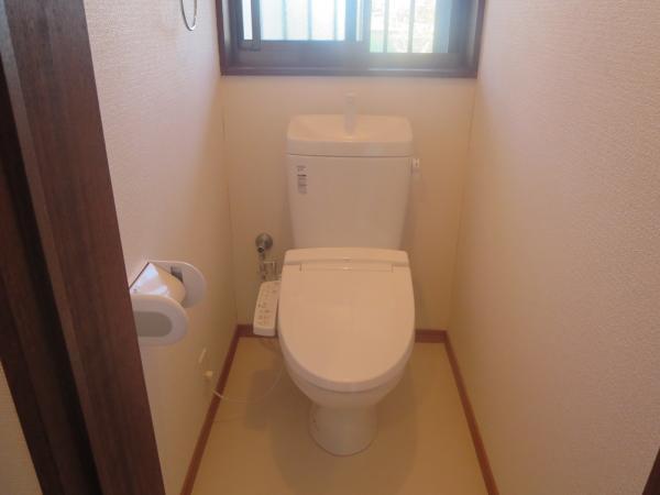 Local appearance photo. Cleaning toilet new