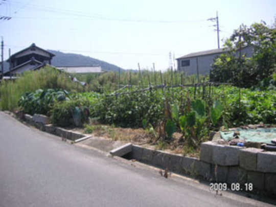 Local land photo